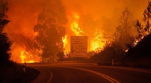 Bilanţul incendiului de vegetaţie din Portugalia a crescut la 39 de morţi