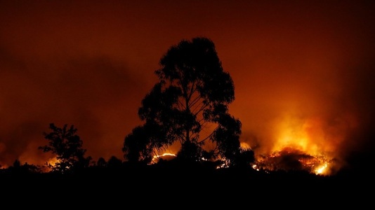 Portugalia a declarat trei zile de doliu naţional; bilanţul incendiului de vegetaţie a crescut la 62 de morţi