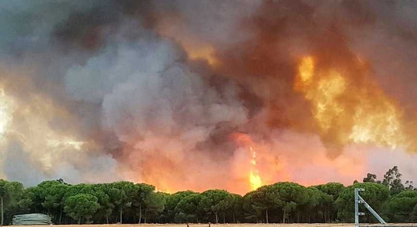 Peste 2.000 de persoane au fugit din calea unui incendiu de pădure din Andaluzia