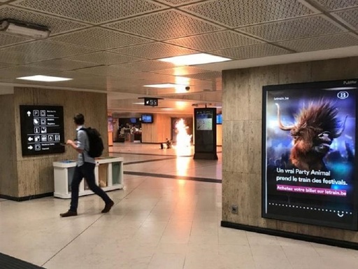 Cele mai multe atentate jihadiste din Europa şi din Statele Unite nu au fost coordonate direct de Statul Islamic (studiu)