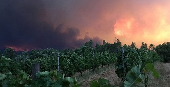 Şapte pompieri răniţi într-un nou incendiu de vegetaţie în centrul Portugaliei
