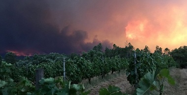 Şapte pompieri răniţi într-un nou incendiu de vegetaţie în centrul Portugaliei