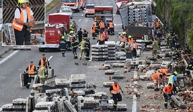 Mii de găini au blocat o autostradă aglomerată din Austria