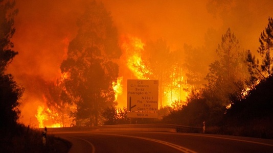 Incendiile de pădure au distrus aproximativ 61.600 de hectare de vegetaţie în Portugalia de la începutul anului