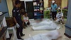 Opt persoane şi-au pierdut viaţa într-un atac armat din Thailanda