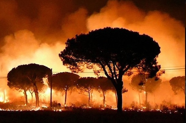 Spania: Un incendiu de vegetaţie masiv a dus la evacuarea a aproape 300 de persoane din Andaluzia