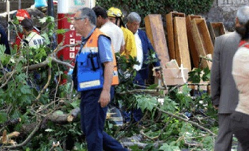 Bilanţul incidentului din Madeira, unde un copac a căzut peste mulţime, a crescut la 13 morţi. VIDEO
