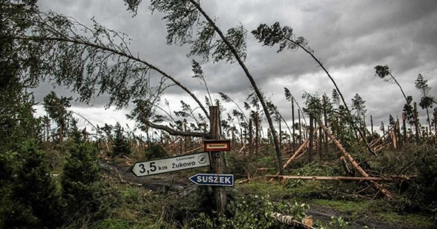 Zeci de mii de arbori au fost rupţi în Polonia de furtună VIDEO