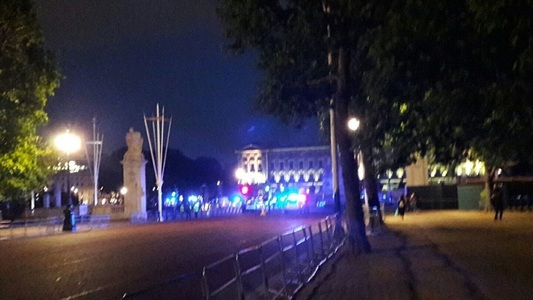 Poliţia britanică a arestat un bărbat acuzat că a atacat poliţişti în apropiere de Buckingham Palace - VIDEO