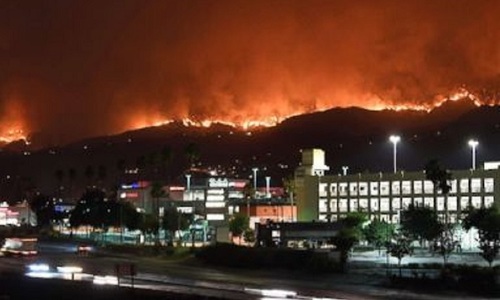 Primăria din Los Angeles declară stare de urgenţă din cauza unor incendii de vegetaţie