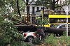Şapte morţi în Germania, în urma furtunii Xavier