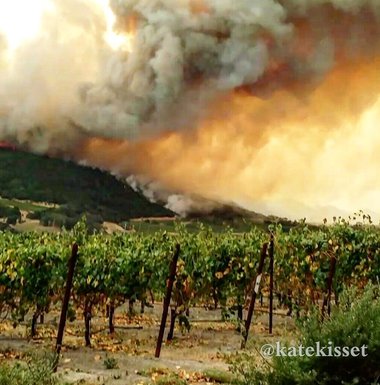 Cel puţin 15 oameni au murit, alţi peste 180 sunt daţi dispăruţi în urma incendiilor puternice din California