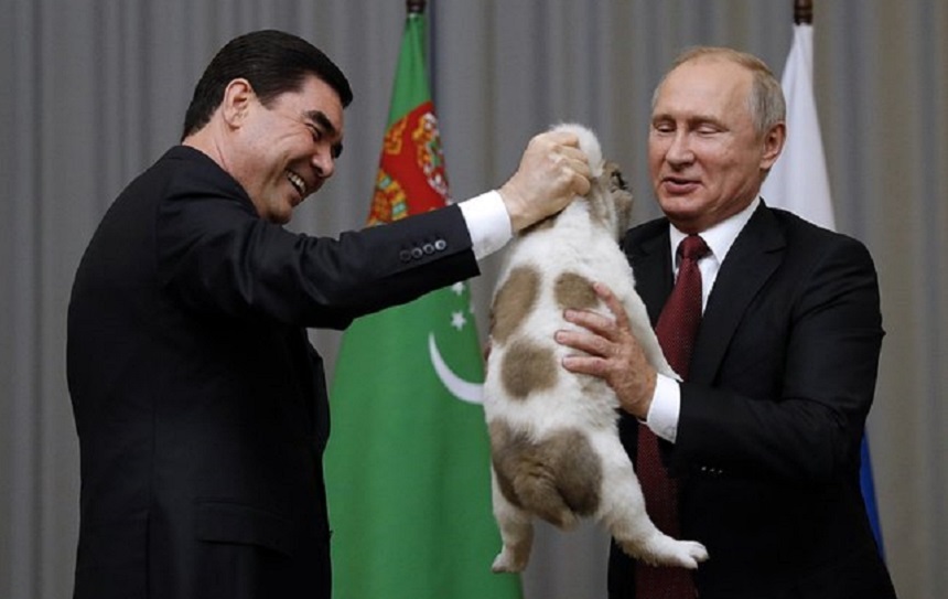 Putin a primit cadou de ziua sa un pui de ciobănesc din Asia Centrală de la omologul său turkmen - VIDEO