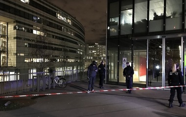 Tigru împuşcat la Paris după ce a scăpat de la un circ