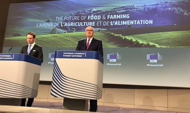 Londra, ”foarte aproape de un acord” cu Bruxellesul asupra încheierii socotelilor Brexitului 