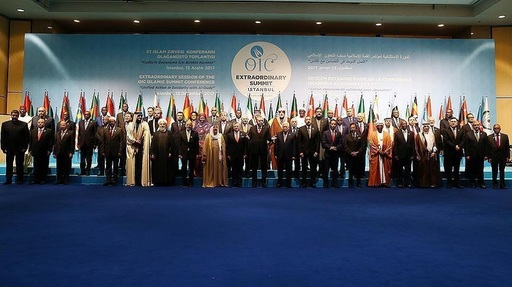 Organizaţia Cooperării Islamice condamnă şi respinge decizia lui Trump cu privire la Ierusalim şi îndeamnă la recunoaşterea Palestinei ca stat
