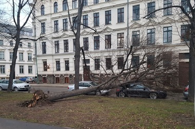 Un bărbat a murit din cauza furtunii Friederike, în Germania