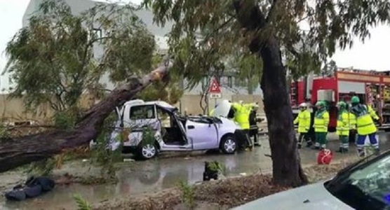 UPDATE - Un cetăţean român a murit în Malta după ce un copac a căzut pe maşina în care se afla; soţia sa se află la spital. Bărbatul avea doi copii şi era de 7 ani în Malta. Anunţul MAE - FOTO

