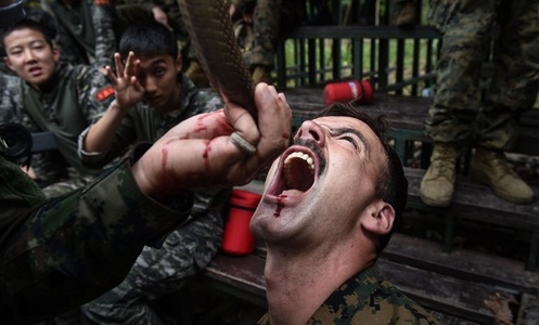 Militari thailandezi şi americani beau sânge de cobră pentru a consolida legăturile între armate