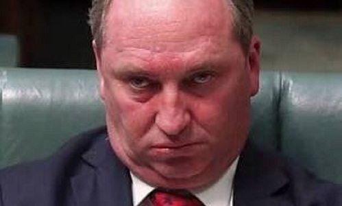 Vicepremierul australian Barnaby Joyce demisionează din Cabinet dar îi asigură fragila majoritate lui Turnbull în Parlament