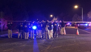 Doi bărbaţi răniţi grav într-o explozie la Austin, în Texas, într-o serie de atacuri cu pachete-capcană, soldate cu doi morţi şi doi răniţi