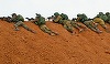 Al 17-lea palestinian moare după ce a fost rănit vineri de militari israelieni la ”marşul întoarcerii”