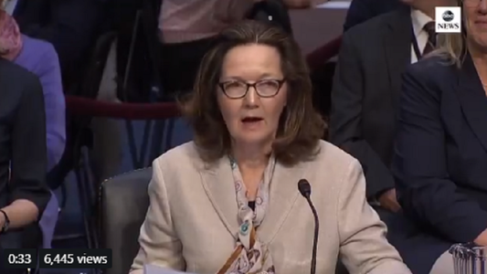 Gina Haspel promite în Senat că CIA nu va recurge la tortură
