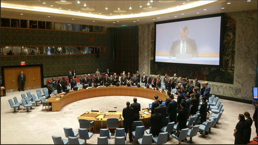 SUA blochează declaraţia ONU prin care se cerea o investigaţie privind uciderea protestatarilor palestinieni