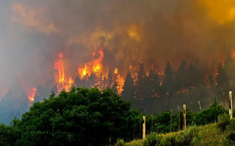 Mii de persoane evacuate în Colorado din cauza unui incendiu