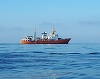 Spania începe să preia migranţii de pe nava Aquarius - prima ambarcaţiune a ajuns la Valencia

