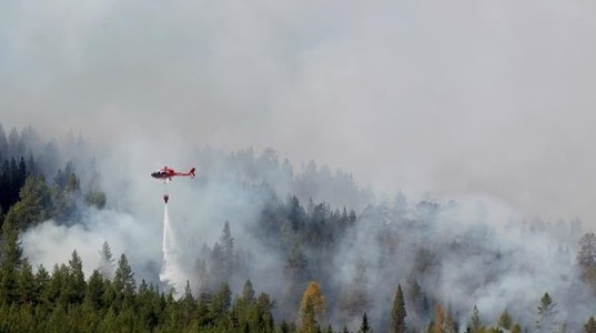 Risc extrem de noi incendii în pădurile din Suedia