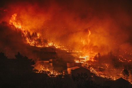 SUA: Doi copii şi străbunica lor au murit în incendiile de vegetaţie din California

