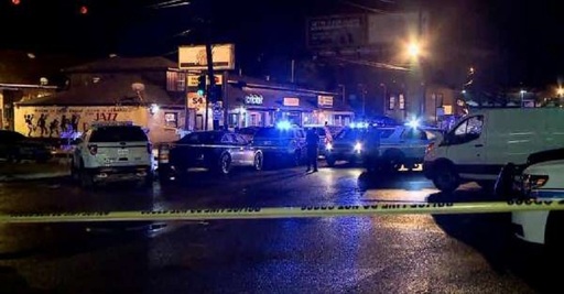 SUA: Atac armat în New Orleans, soldat cu trei morţi şi şapte răniţi

