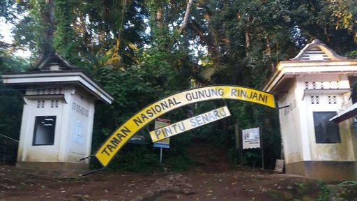 Indonezia: Numărul victimelor cutremurului a ajuns la 14; alte 162 de persoane au fost rănite

