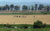 Val de căldură ”fără precedent” în Coreea de Nord