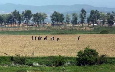 Val de căldură ”fără precedent” în Coreea de Nord