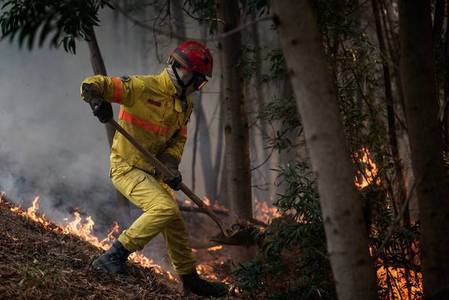 Portugalia: Peste 1.150 de pompieri au fost mobilizaţi pentru a stinge un incendiu de vegetaţie care arde de patru zile; 25 de persoane aau fost rănite