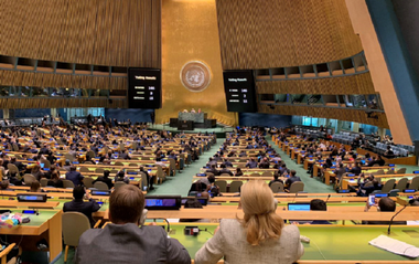 Palestina primeşte noi puteri la ONU, pentru a putea exercita în 2019 preşedinţia Grupului Celor 77 (G77), în pofida avizului SUA