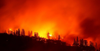 Bilanţul victimelor incendiilor din California a ajuns la 50 de morţi