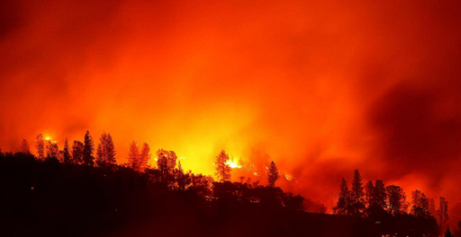 Bilanţul victimelor incendiilor din California a ajuns la 50 de morţi