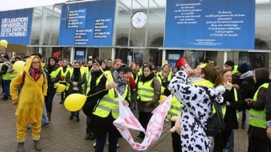 Sute de femei “veste galbene” au manifestat la Le Mans împotriva violenţelor şi guvernului francez şi au cerut demisia lui Macron - VIDEO