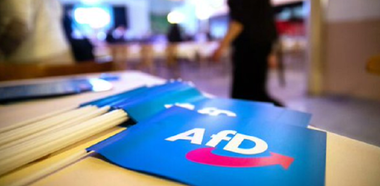 Serviciile germane de informaţii interne anchetează AfD pentru a stabili dacă are motivaţii de extremă dreapta
