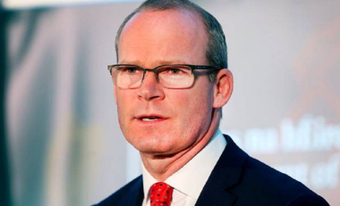 Dublinul, sceptic cu privire la găsirea unei alternative a "backstop"-ului, după ce negociatorii britanici şi europeni au căutat-o fără rezultat timp de doi ani