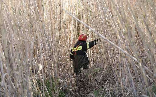 Patru migranţi dispăruţi în Grecia, după un naufragiu pe râul Evros