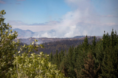 Noua Zeelandă - Peste 3.000 de oameni au fugit din calea incendiilor de vegetaţie