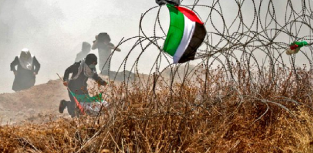 ONU acuză Israelul de posibile crime de război şi crime împotriva umanităţii în Fâşia Gaza