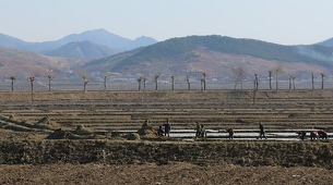 Seulul trimite 50.000 de tone de orez în Coreea de Nord