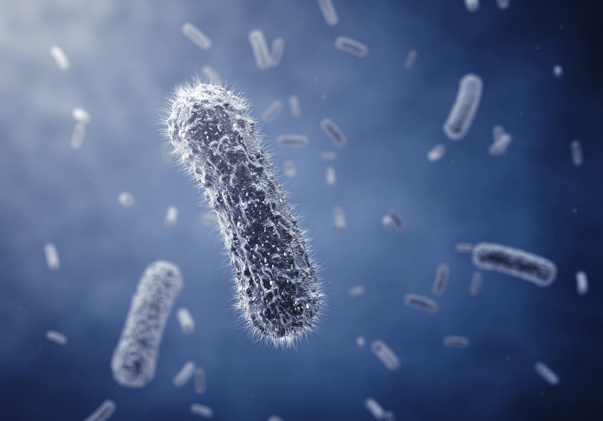 Marea Britanie: Douăsprezece persoane au decedat în urma unei infecţii bacteriene rare