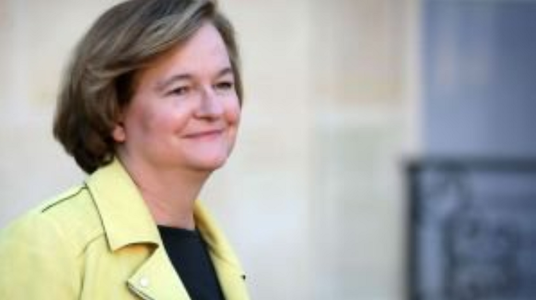 Eurodeputata franceză Nathalie Loiseau, favorabilă primirii lui Edward Snowden în Franţa, îi cere lui Emmanuel Macron să-i acorde azil