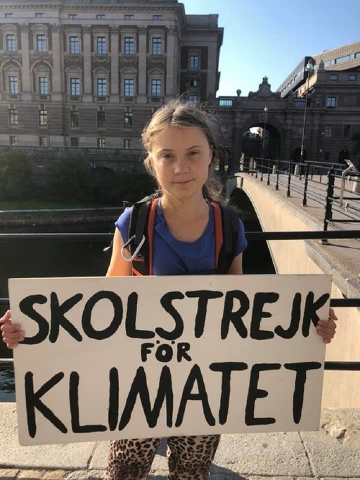 Vineri au loc în lume cele mai ample demonstraţii împotriva schimbărilor climatice din istorie